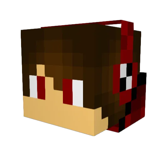biNF0Rd Minecraft avatar head, 3D render