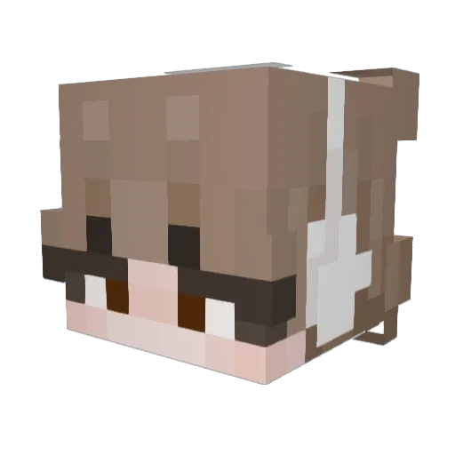 bi_ng Minecraft avatar head, 3D render