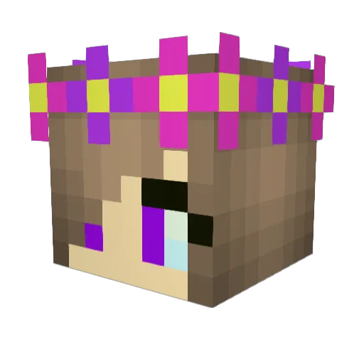 bianca2908 Minecraft avatar head, 3D render