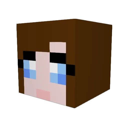 bianca_cargill Minecraft avatar head, 3D render