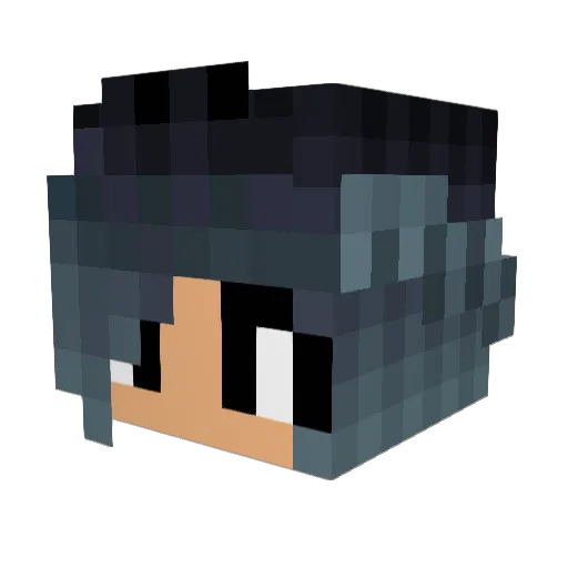 biancajoy2004 Minecraft avatar head, 3D render