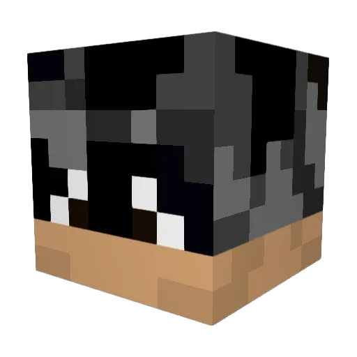 biankk_ Minecraft avatar head, 3D render