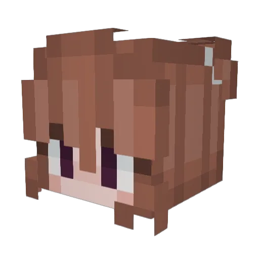 bianotfound Minecraft avatar head, 3D render
