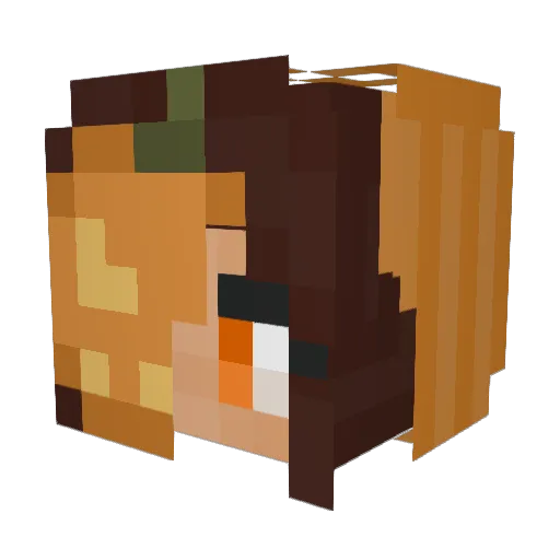 biaswrecked Minecraft avatar head, 3D render