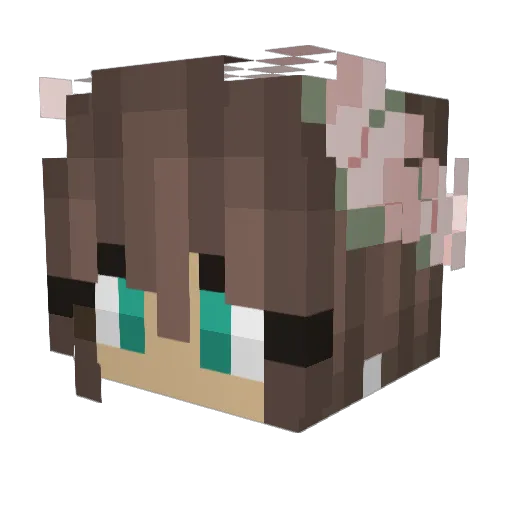 bibbaplays Minecraft avatar head, 3D render
