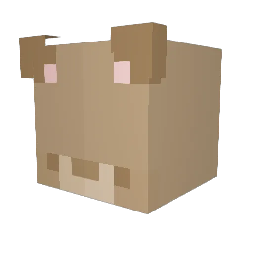 bibbasins Minecraft avatar head, 3D render