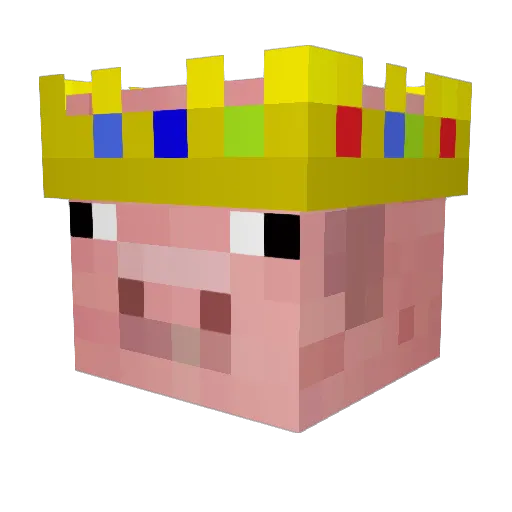 bibble5 Minecraft avatar head, 3D render