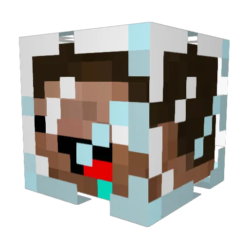 biberofhell Minecraft avatar head, 3D render