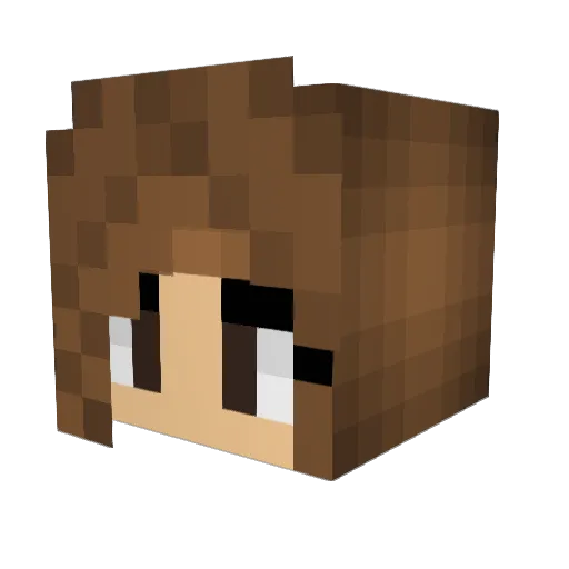 bibi3441 Minecraft avatar head, 3D render