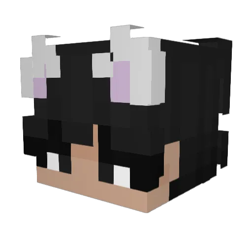 bibi_007 Minecraft avatar head, 3D render