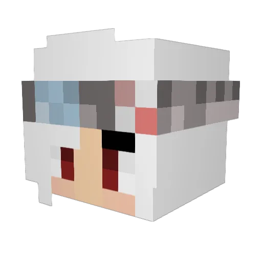 bibiche51370 Minecraft avatar head, 3D render
