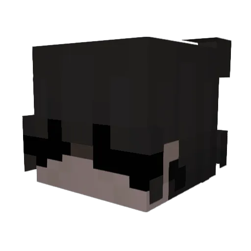 bibigameurdu129 Minecraft avatar head, 3D render