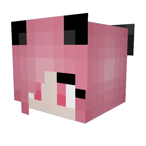 bibikiller666 Minecraft avatar head, 3D render