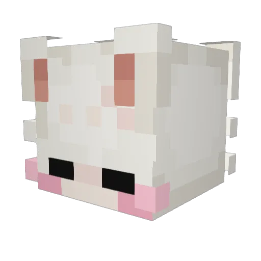 bibilol05 Minecraft avatar head, 3D render