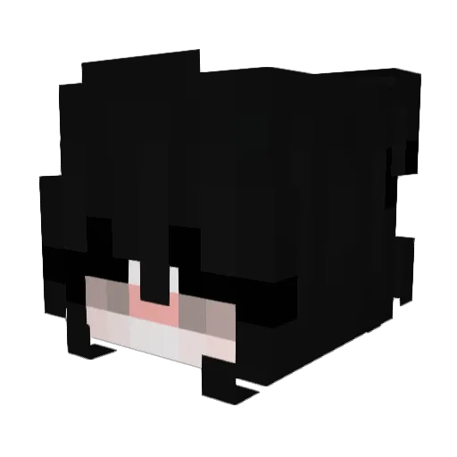 bibiok98 Minecraft avatar head, 3D render