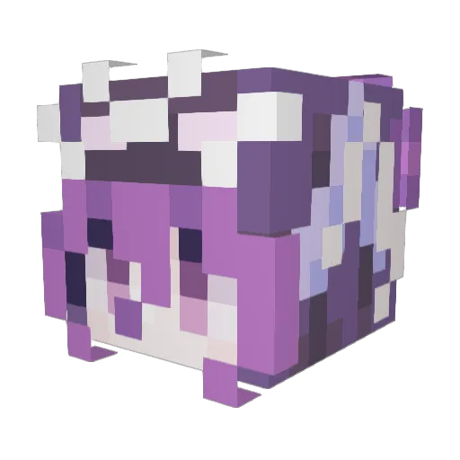 bibliophiling Minecraft avatar head, 3D render