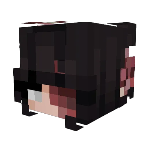 bibo_swaggins Minecraft avatar head, 3D render