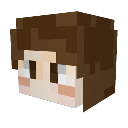 bic08 Minecraft avatar head, 3D render