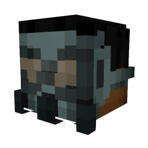 bic757 Minecraft avatar head, 3D render