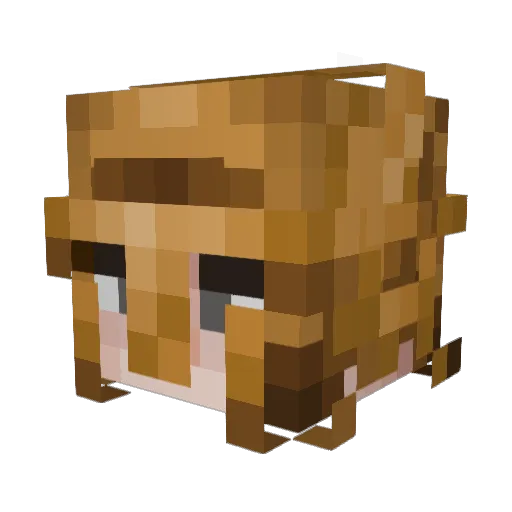 bichwhitty Minecraft avatar head, 3D render