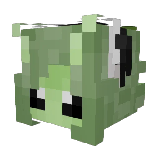 bicowboy Minecraft avatar head, 3D render