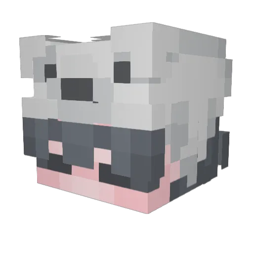 biddi16 Minecraft avatar head, 3D render