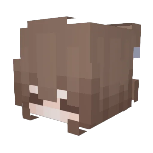 bidett Minecraft avatar head, 3D render