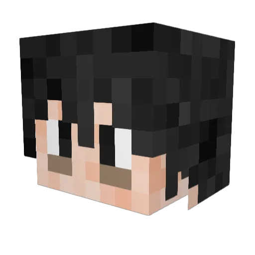 bidg Minecraft avatar head, 3D render