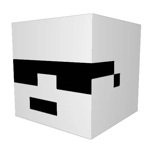 bido_gamer2 Minecraft avatar head, 3D render