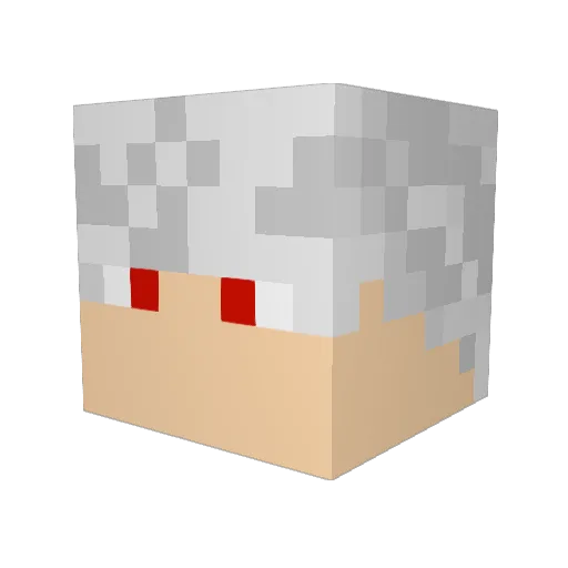bidoia0904 Minecraft avatar head, 3D render