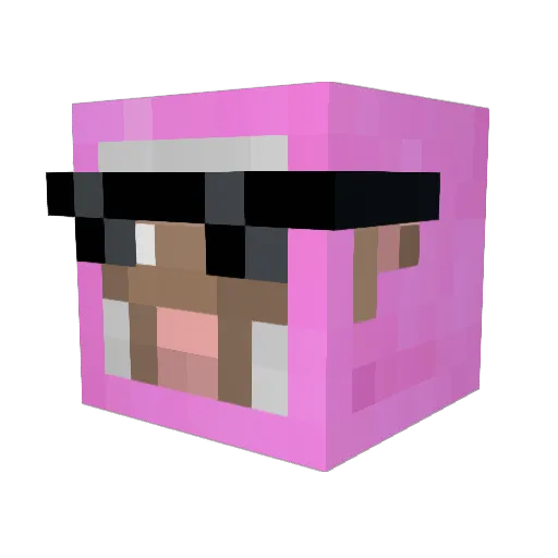 bidoofs Minecraft avatar head, 3D render