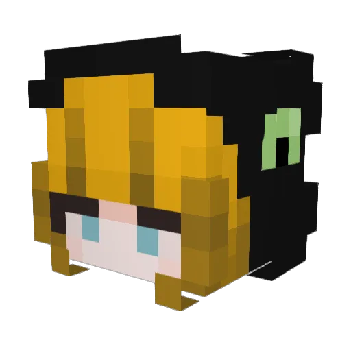 biedra22 Minecraft avatar head, 3D render