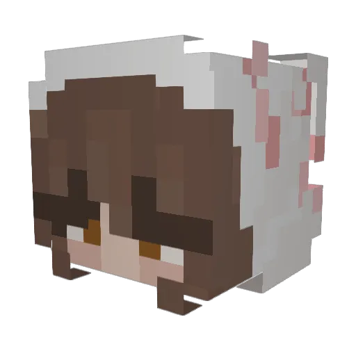 biefstukk Minecraft avatar head, 3D render