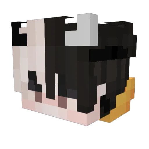 bielbiel2012 Minecraft avatar head, 3D render