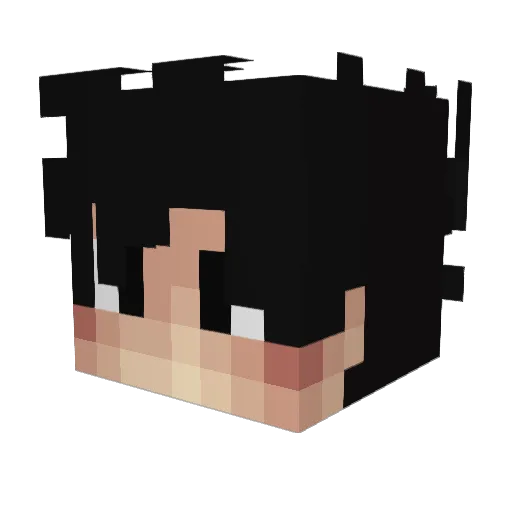 bielonccelo Minecraft avatar head, 3D render