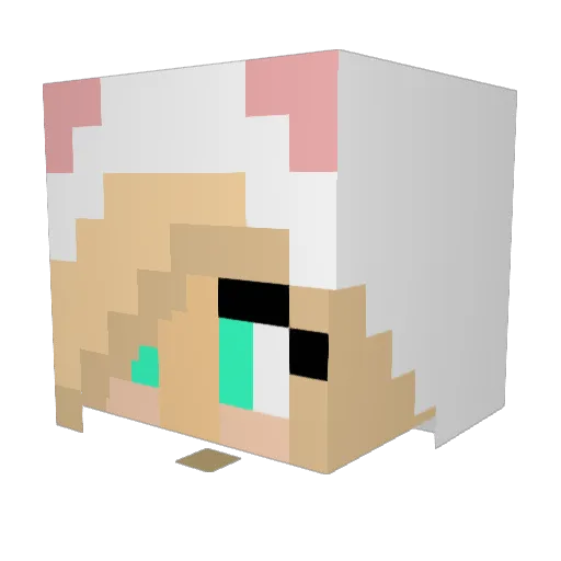 bienemay0 Minecraft avatar head, 3D render