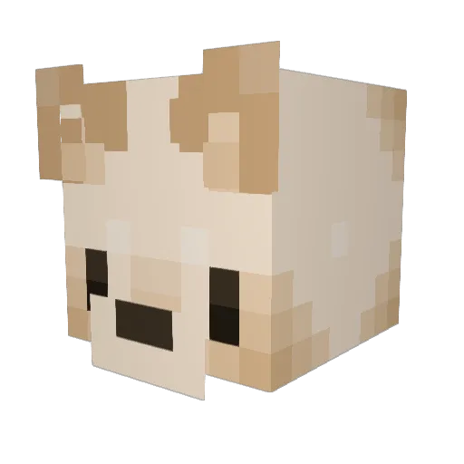 bierKar Minecraft avatar head, 3D render
