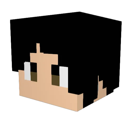 bifftannen7627 Minecraft avatar head, 3D render