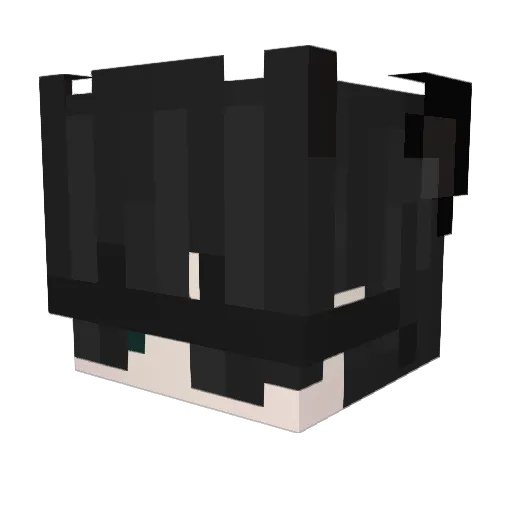 bifu_420 Minecraft avatar head, 3D render