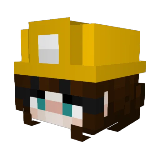 bigSahm Minecraft avatar head, 3D render