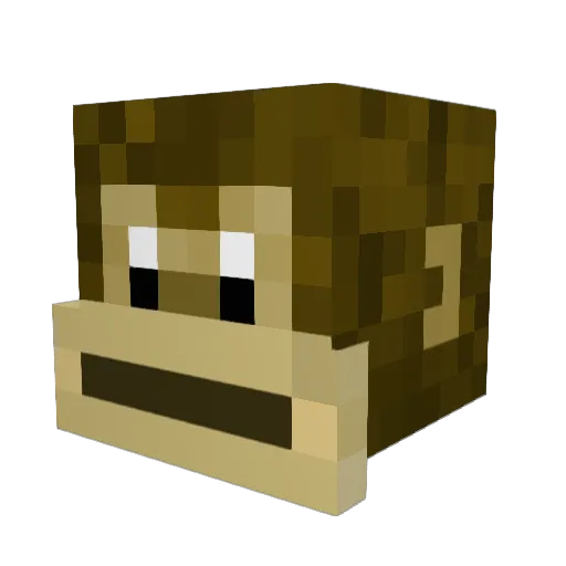 big_brain___ Minecraft avatar head, 3D render