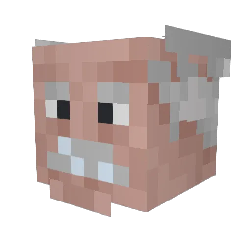 big_paul Minecraft avatar head, 3D render