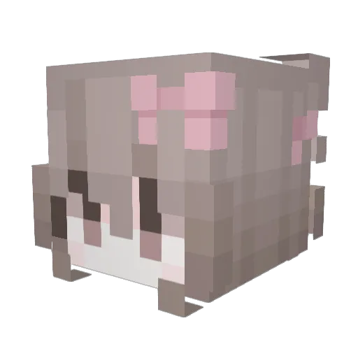 bigbabbabu Minecraft avatar head, 3D render