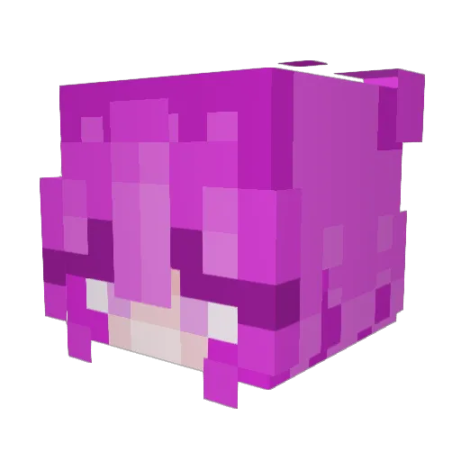 bigbagelfan Minecraft avatar head, 3D render