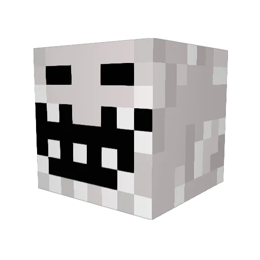 bigbair96 Minecraft avatar head, 3D render