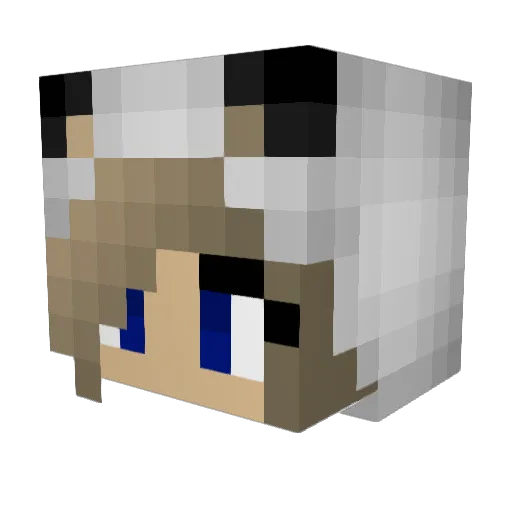 bigbamboozume Minecraft avatar head, 3D render