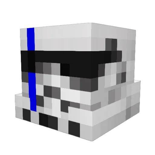 bigbelly51 Minecraft avatar head, 3D render