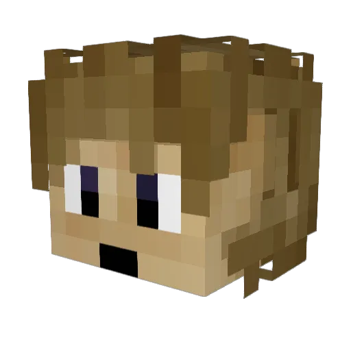 bigbigdog Minecraft avatar head, 3D render