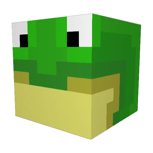 bigbigwoofer Minecraft avatar head, 3D render