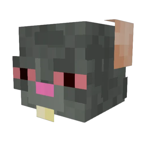 bigbinrat Minecraft avatar head, 3D render